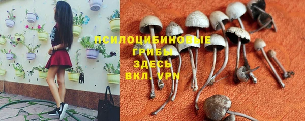 дмт Балахна