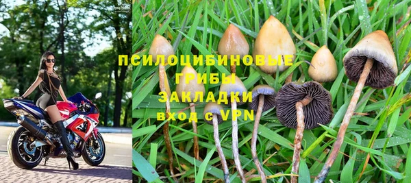 дмт Балахна